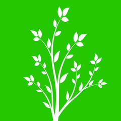 White branch with leaves on a green background.