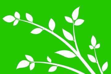 White branch with leaves on a green background.