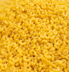 uncooked macaroni pasta in large quantity
