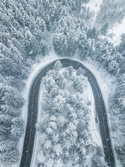 Winding road in the middle of the forest with trees covered in snow.