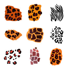 Wild animal set. Jaguar, leopard, zebra, giraffe, tiger and cheetah print.