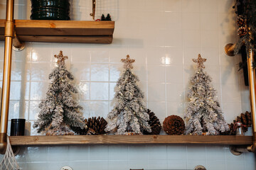 christmas decoration in the church