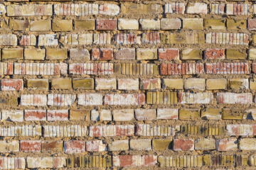Old brickwork for background. The main color is a shade of yellow and white salty spots.