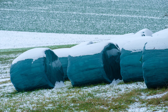 Wintervorrat: Silageballen in grüner Plastikfolie auf einer winterlichen Wiese mit Schnee: Vorrat an Tierfutter für die kalte Jahreszeit
