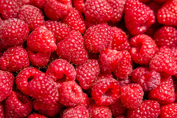 Fresh raspberries, heap of red ripe summer berries
