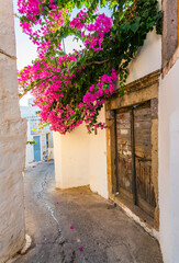 Fototapeta na wymiar Skala Village street view in Patmos Island. Patmos Island is populer tourist destination in Greece.