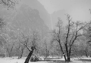 Foto op Canvas Snowfall © Galyna Andrushko