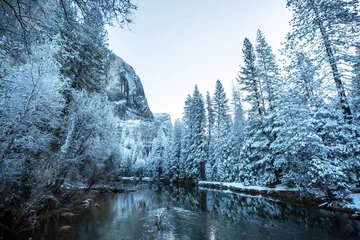 Foto op Plexiglas Winter in Yosemite © Galyna Andrushko