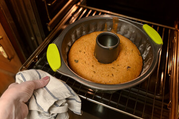Woman hand taking out baking tray with delicious cake with raisin from oven. Homemade cooking concept. Copy space.