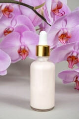 Fototapeta na wymiar Pink anti-aging collagen, facial serum in transparent glass bottle with gold pipette and natural orchid flower on grey background. Natural Organic Spa Cosmetic Beauty Concept. Front view