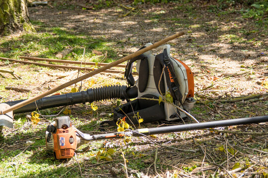 Industrial woodland management tools in woodland setting including a strimmer and leaf blower
