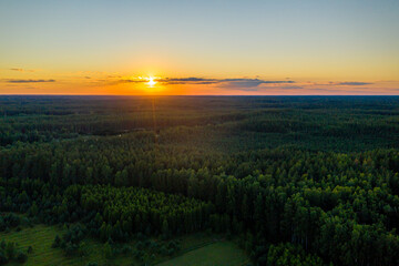 colorful sunset over over the trees, evening landscape