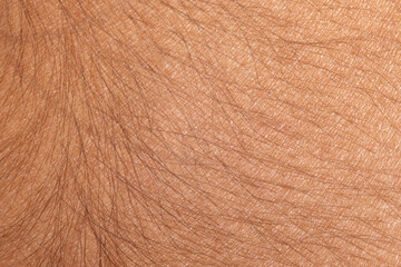 Caucasian male human skin and hair close up macro