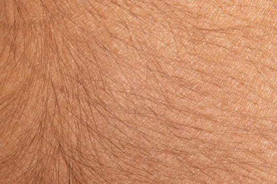 Caucasian male human skin and hair close up macro