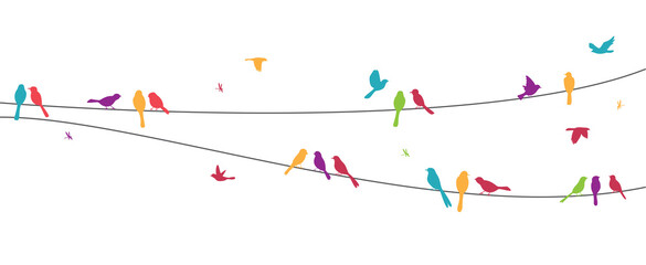 Estores personalizados com sua foto Colorful birds sitting on wire isolated on white