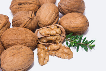 open walnut and group of walnuts isolated on white