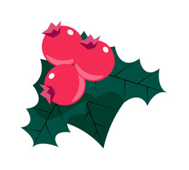 Christmas holly berry with leaf isolated on white background