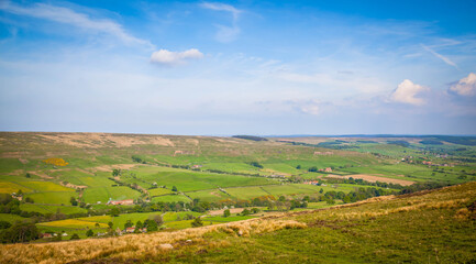 Naklejka premium Valley view in North York Moors National Park, Yorkshire, United Kingdom