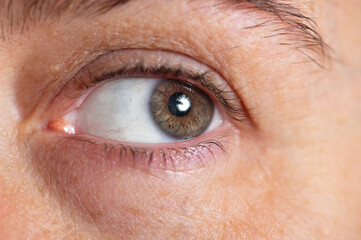 Close up of beautiful brown eye of caucasian young woman