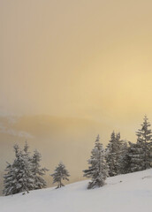 A soft sunrise over a snow-covered mountain slope.