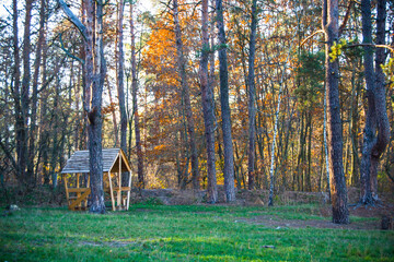 lonely gazebo in a pine forest
