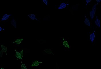 Fototapeta premium Dark Blue, Green vector doodle backdrop.