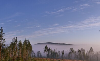 Road into the fog in the North of Sweden