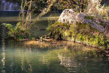 beautiful river in the nature