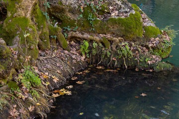 beautiful river in the nature