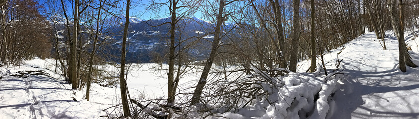 panoramic view on snowy forest with mountain background