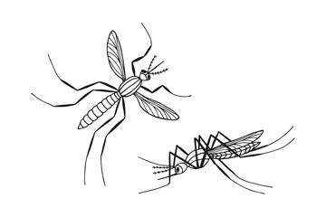 A set of mosquitoes. JPG