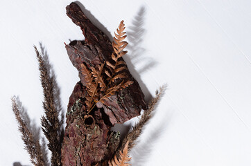 Pieces of old brown pine bark, dry leaf fern, moss, stems grass on white wooden board with shadow, top view, simple organic background.