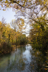 beautiful river in the nature