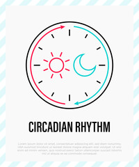 Circadian rhythm thin line icon. Sleep regulation by hormones. Vector illustration.