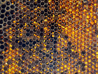 Drop of bee honey drip from hexagonal honeycombs