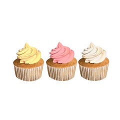 The illustration of three cupcakes isolated on a white background