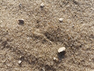 Sand