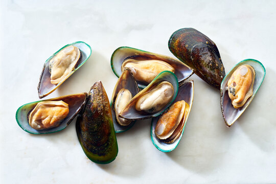 Top view green mussels