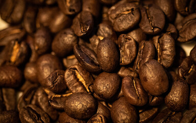 coffee beans background