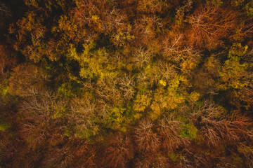 Alsoors Hungary - Aerial view of beautiful reeds formation with crystal clear turquoise water at...