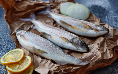 Freshly caught grayling with lemon slices is on parchment paper on the table. Freshwater fish. Preparation for cooking. Top view