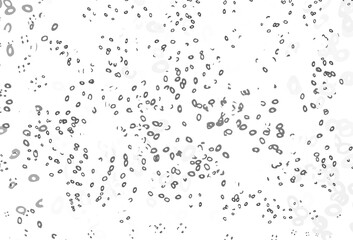 Light Silver, Gray vector template with circles.