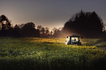 Fototapeta premium Automne, tracteur procédant au fauchage de plantes fourragères agricoles, moutarde mais cela équivaut à du ray grass