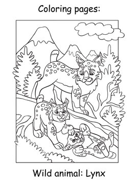 Children coloring book page lynx vector illustration