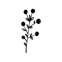 New Year tree branch with leaves on an isolated white background. Christmas element in hand draw style. Vector illustration.