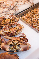 Close-up of fresh crabs in a market