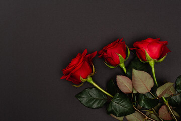 top view of red roses isolated on black