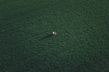 Wheat farmer analyzing crop development