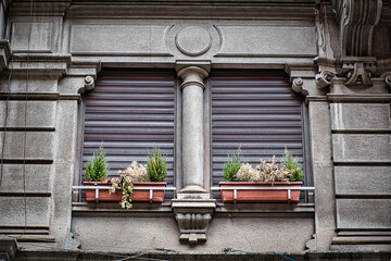 Old traditional italian windows with plants and shades down