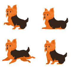 Yorkshire terrier in different poses. Cute dog in cartoon style.